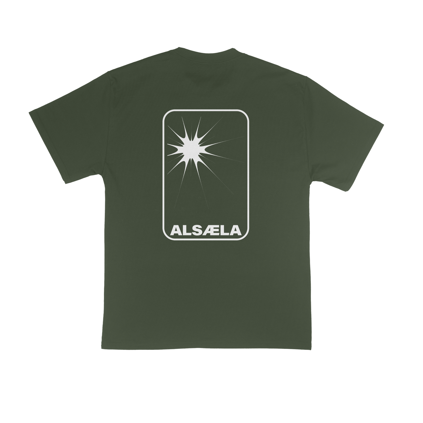 NW star t-shirt