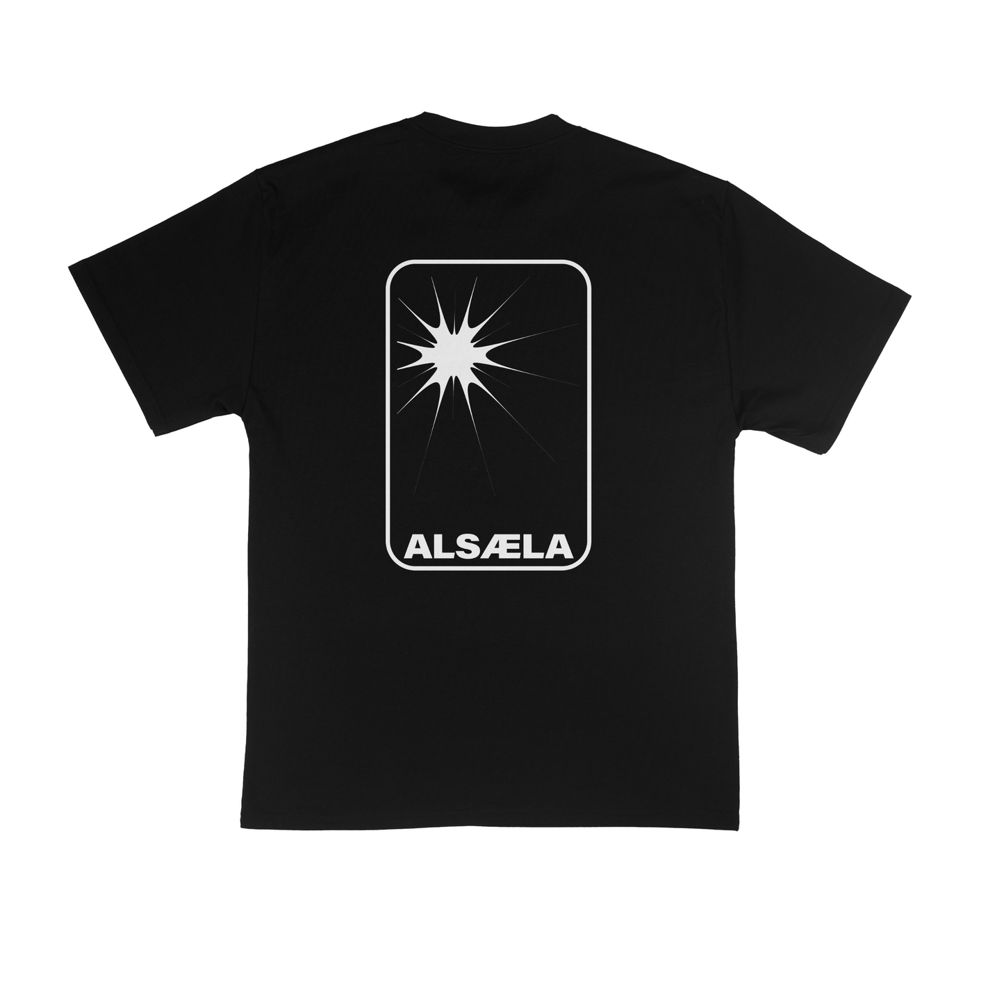 NW star t-shirt